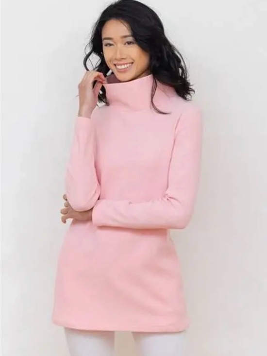 Dudley Stephens Sweaters - Dudley Stephens Cobble Hill Turtleneck Tunic